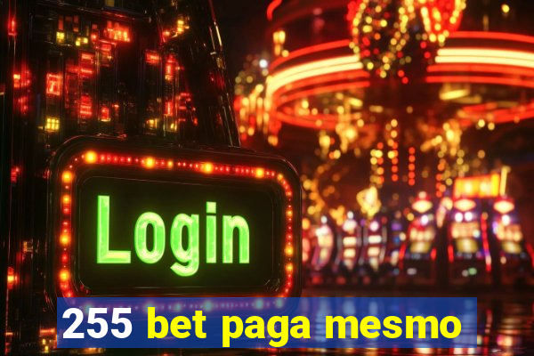 255 bet paga mesmo